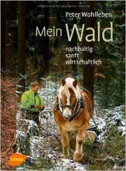 Mein Wald - nachhaltig, sanft, wirtschaftlich